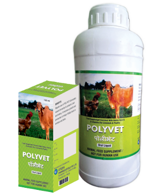 POLYVET