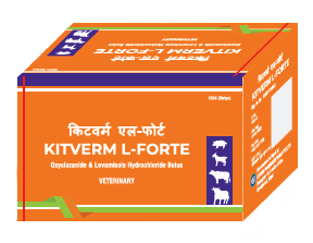 KITVERM L-FORTE